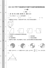 2022-2023学年广东省汕尾市中考数学专项提升仿真模拟试题（一模二模）含解析