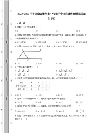 2022-2023学年湖南省郴州市中考数学专项突破仿真模拟试题（3月4月）含解析