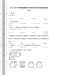 2022-2023学年湖南省郴州市中考数学专项提升仿真模拟试题（3月4月）含解析