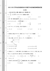 2022-2023学年山东省滨州市中考数学专项突破仿真模拟试题（3月4月）含解析