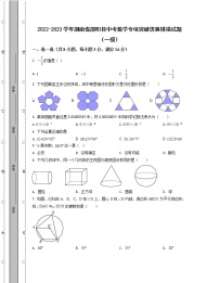 2022-2023学年湖南省邵阳县中考数学专项突破仿真模拟试题（一模二模）含解析