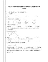 2022-2023学年湖南省怀化市中考数学专项突破仿真模拟试题（3月4月）含解析