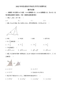 初中数学中考复习 精品解析：2022年河北省中考数学真题 （原卷版）