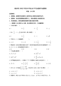 初中数学中考复习 精品解析：2022年湖南省株洲市中考数学真题（原卷版）