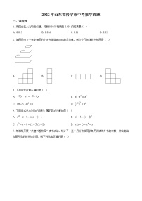 初中数学中考复习 精品解析：2022年山东省济宁市中考数学真题（原卷版）