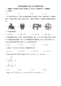 初中数学中考复习 精品解析：甘肃省武威市、定西市、平凉市、酒泉市、庆阳市2021年中考数学试卷（原卷版）