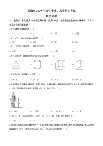 初中数学中考复习 精品解析：甘肃省武威市2020年中考数学试题（原卷版）