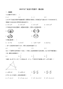 初中数学中考复习 精品解析：广东省2019届中考一模数学试题（原卷版）