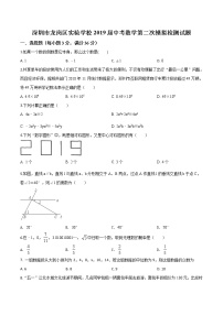 初中数学中考复习 精品解析：广东省深圳市龙岗区实验学校2019届中考数学第二次模拟检测试题（答案）（原卷版）