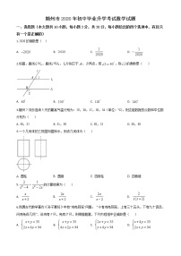 初中数学中考复习 精品解析：湖北省随州市2020年中考数学试题（原卷版）