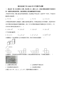 初中数学中考复习 精品解析：湖北省咸宁市2020年中考数学试题（原卷版）