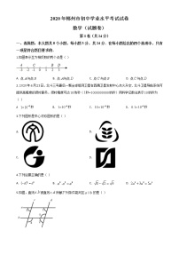 初中数学中考复习 精品解析：湖南省郴州市2020年中考数学试题（原卷版）