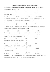 初中数学中考复习 精品解析：湖南省株洲市2020年中考数学真题（原卷版）