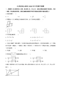 初中数学中考复习 精品解析：江苏省连云港市2020年中考数学试题（原卷版）