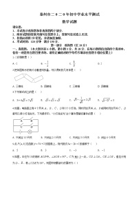 初中数学中考复习 精品解析：江苏省泰州市2020年中考数学试题（原卷版）