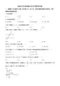 初中数学中考复习 精品解析：江苏省宿迁市2020年中考数学试题（原卷版）