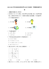 河南省信阳市罗山县2022-2023学年八年级上学期期末数学试卷 (含答案)