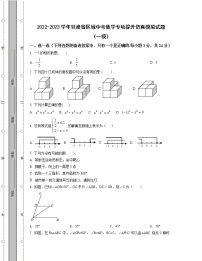 2022-2023学年甘肃省区域中考数学专项提升仿真模拟试题（一模二模）含解析