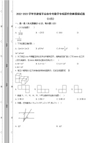 2022-2023学年甘肃省平凉市中考数学专项提升仿真模拟试题（3月4月）含解析