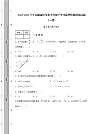 2022-2023学年安徽省蚌埠市中考数学专项提升仿真模拟试题（一模二模）含解析