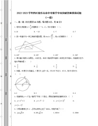 2022-2023学年四川省乐山市中考数学专项突破仿真模拟试题（一模二模）含解析