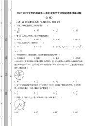 2022-2023学年四川省乐山市中考数学专项突破仿真模拟试题（3月4月）含解析