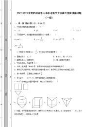 2022-2023学年四川省乐山市中考数学专项提升仿真模拟试题（一模二模）含解析