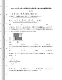 2022-2023学年山东省淄博市中考数学专项突破仿真模拟试题（4月5月）含解析