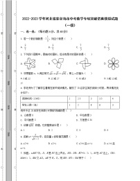 2022-2023学年河北省秦皇岛市中考数学专项突破仿真模拟试题（一模二模）含解析