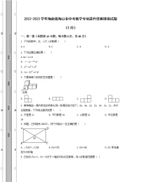 2022-2023学年海南省海口市中考数学专项提升仿真模拟试题（3月4月）含解析