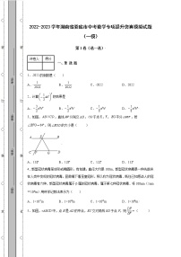 2022-2023学年湖南省娄底市中考数学专项提升仿真模拟试题（一模二模）含解析