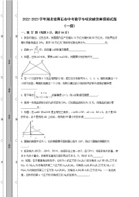 2022-2023学年湖北省黄石市中考数学专项突破仿真模拟试题（一模二模）含解析