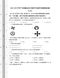 2022-2023学年广东省佛山市中考数学专项提升仿真模拟试题（3月4月）含解析