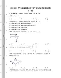 2022-2023学年山东省淄博市中考数学专项突破仿真模拟试题（一模二模）含解析