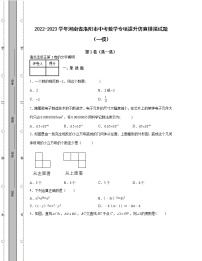 2022-2023学年河南省洛阳市中考数学专项提升仿真模拟试题（一模二模）含解析