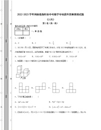 2022-2023学年河南省洛阳市中考数学专项提升仿真模拟试题（3月4月）含解析