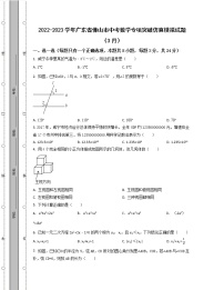 2022-2023学年广东省佛山市中考数学专项突破仿真模拟试题（3月4月）含解析