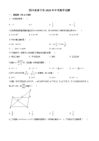 初中数学中考复习 精品解析：四川省遂宁市2020年中考数学试题（原卷版）