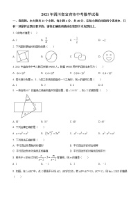 初中数学中考复习 精品解析：四川省宜宾市2021年中考数学真题（原卷版）