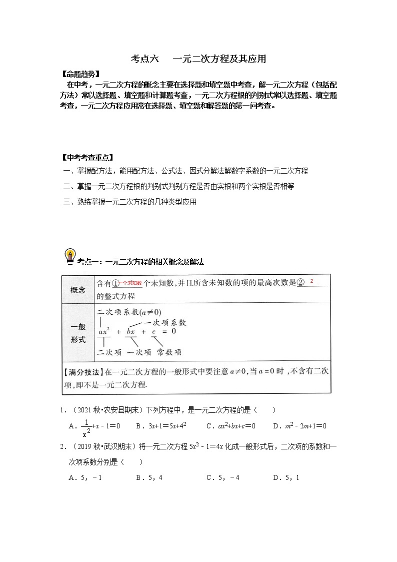 初中数学中考复习 考点06   一元二次方程及其应用（原卷版）01