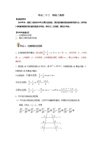 初中数学中考复习 考点23 相似三角形 （解析版）