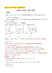 初中数学中考复习 题型09 几何类比、拓展、探究题（解析版）