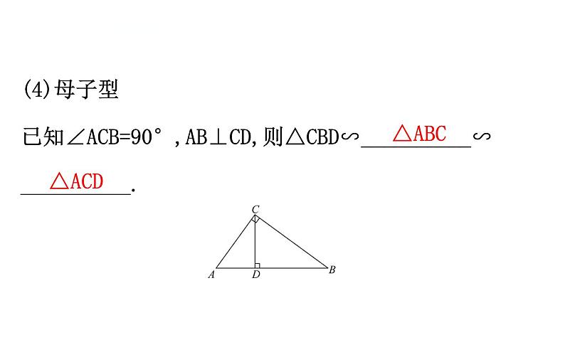 初中数学中考复习 微专题九 相似三角形的基本类型课件PPT第5页