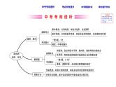 初中数学中考复习 课时30 图形的相似、位似课件PPT