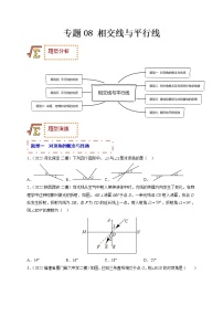 专题08 相交线与平行线（题型归纳）-备战 中考数学一轮复习精品课件与题型归纳专练（全国通用）