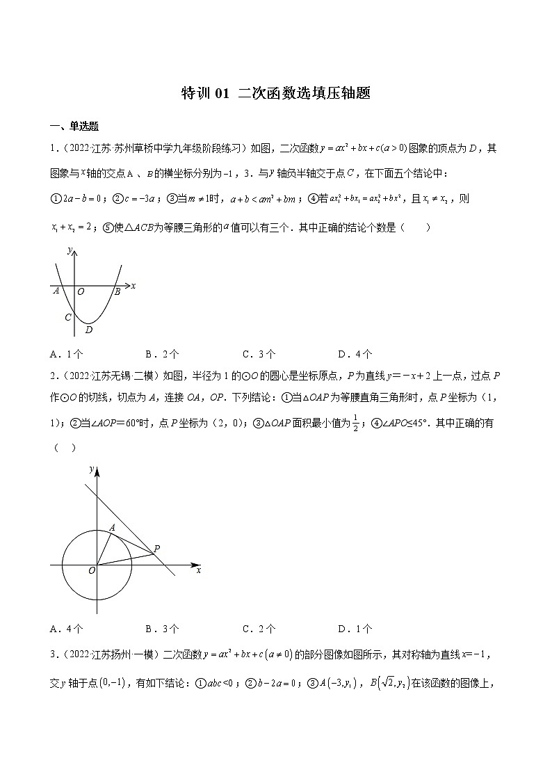 特训01 二次函数选填压轴题（原卷版）第1页