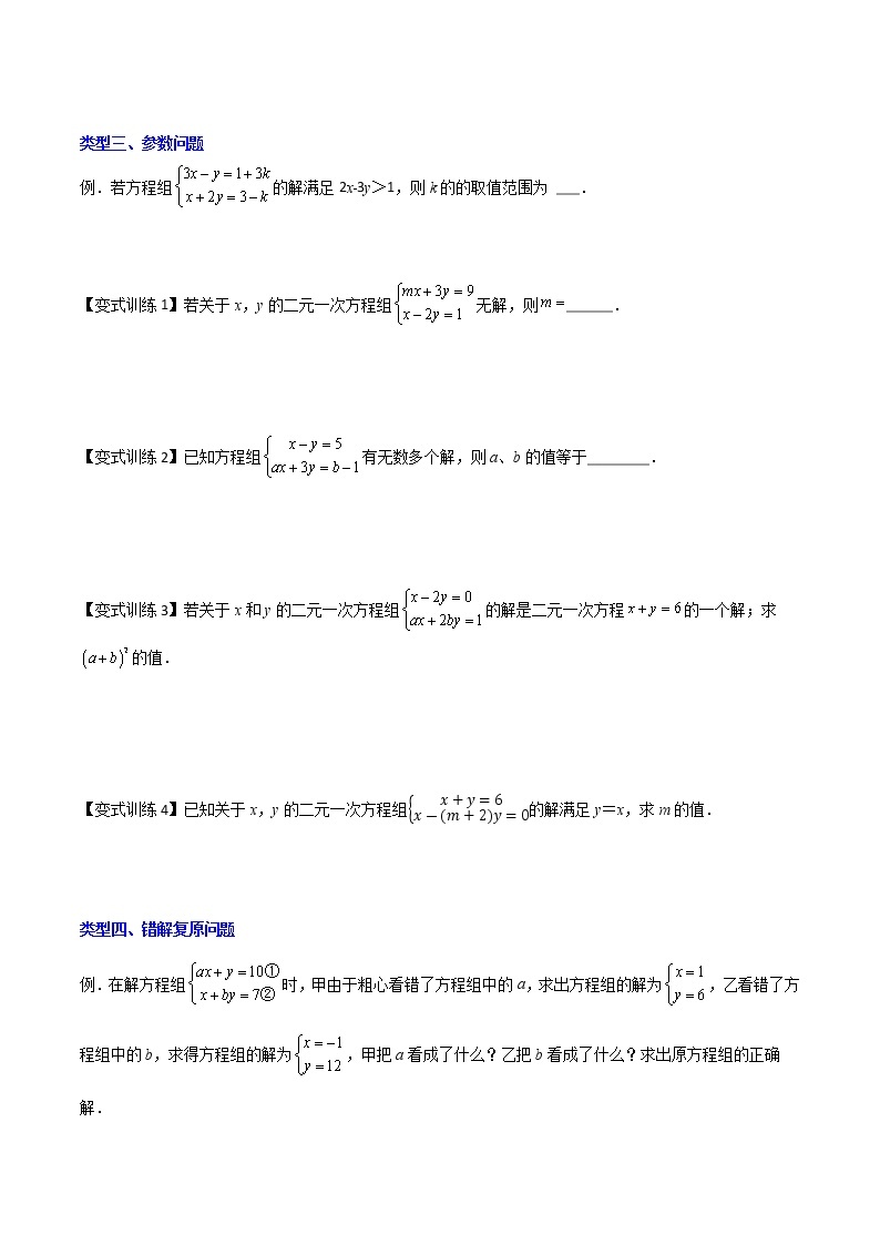 七年级数学下册压轴题攻略（人教版）专题05 二元一次方程组的四种特殊解问题（原卷版）03