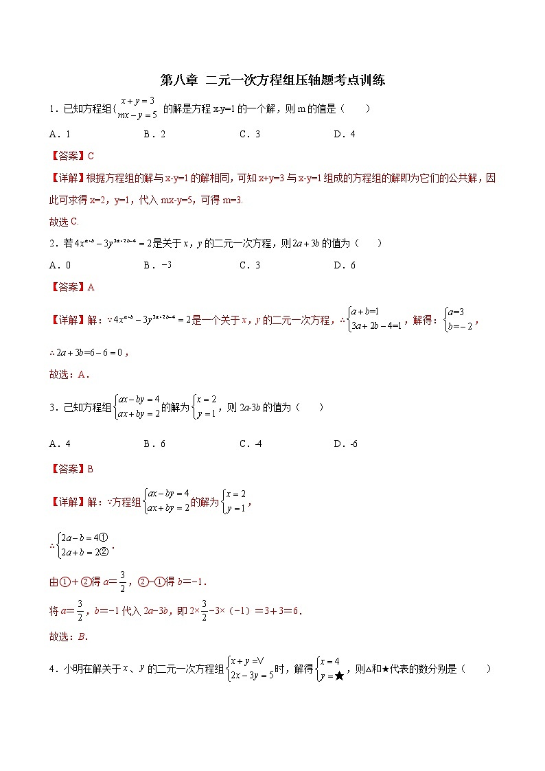 第八章 二元一次方程组压轴题考点训练（解析版）（人教版）01