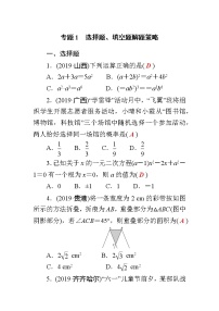 初中数学中考复习 专题1　选择题、填空题解题策略