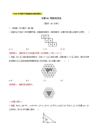 初中数学中考复习 专题03 图形的变化（解析版）